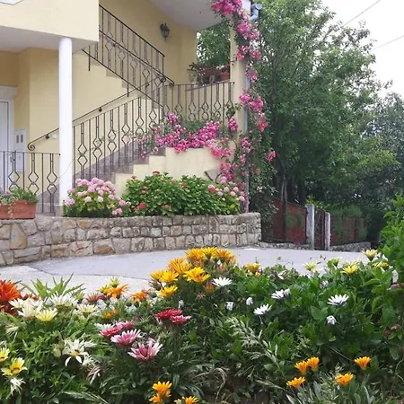 Iva * Supetarska Draga