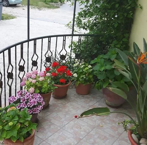 Apartmán Iva Supetarska Draga