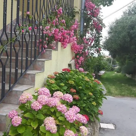 Iva * Supetarska Draga