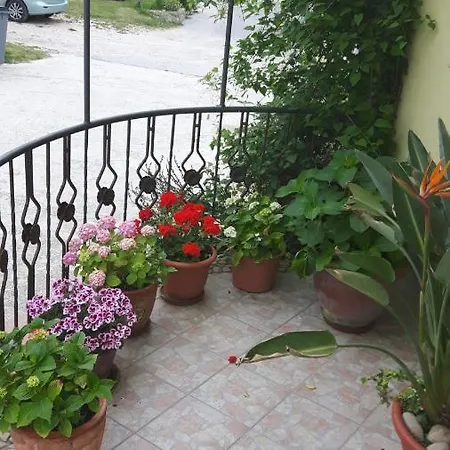 Apartment Iva Supetarska Draga