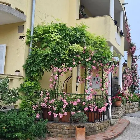 Iva Supetarska Draga