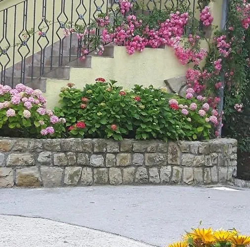 Iva Apartman *