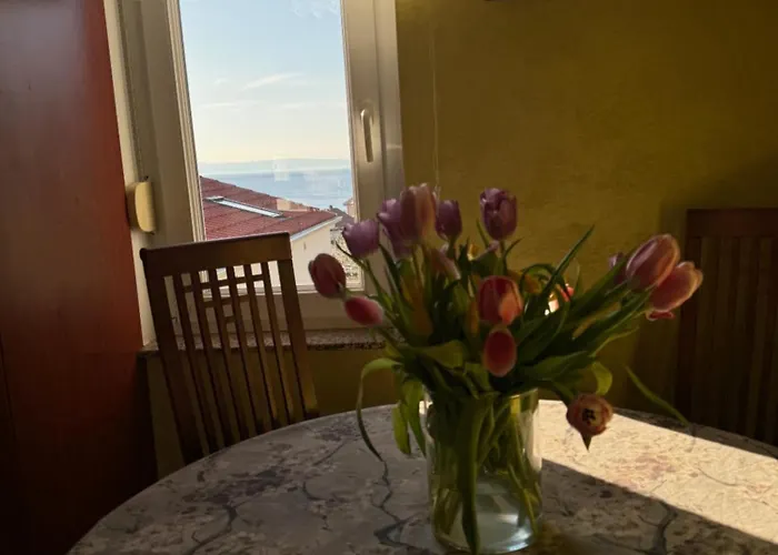 Iva Apartman *